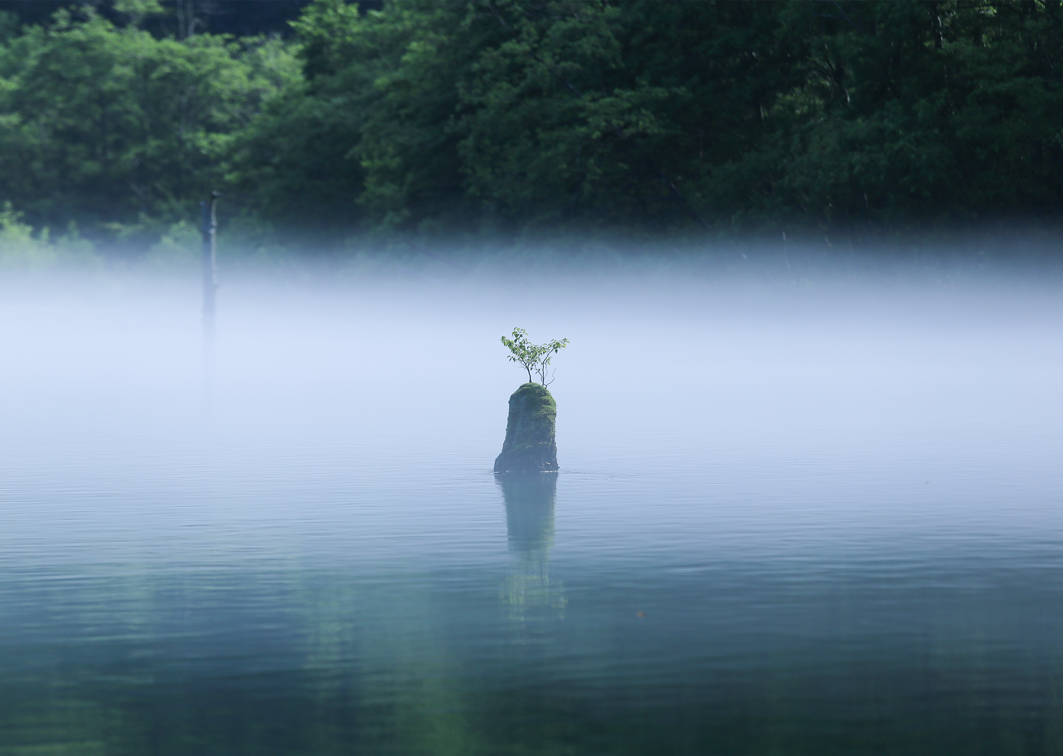 足圧（そくあつ）ヨガサロン m-forest